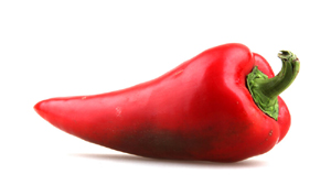 canstockphoto11242062small