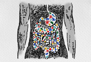 BLOGmicrobiome2