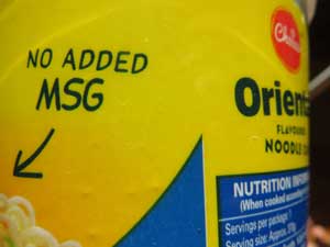 BLOGwhatismsg01small