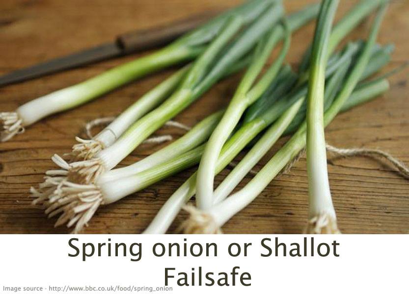 FAQspringonion