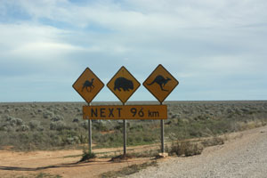 FUR2012nullarbor02