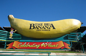 bigbanana
