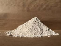 blogdiatomaceous