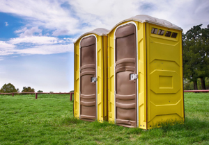 canstockphoto13800204small